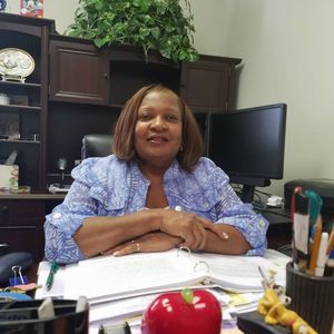 Meet your Posher, Minnie